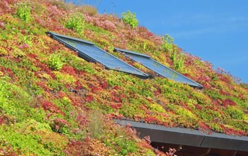 Withielgoose living roof systems