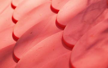 Withielgoose plastic roof costs